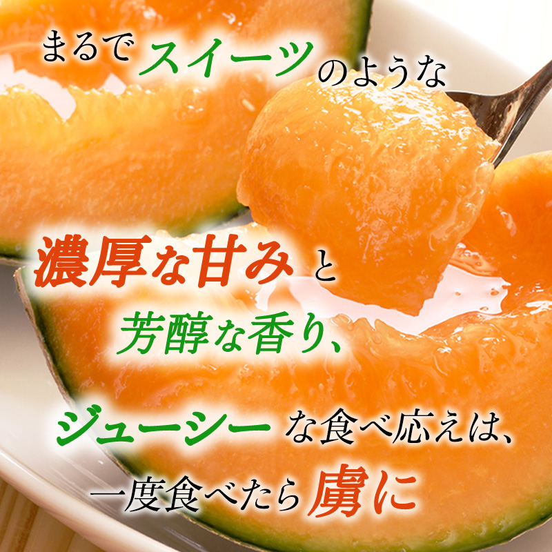 糖度限界突破】ふらの赤肉メロン Lサイズ（約1.7kg/玉）2玉 2025