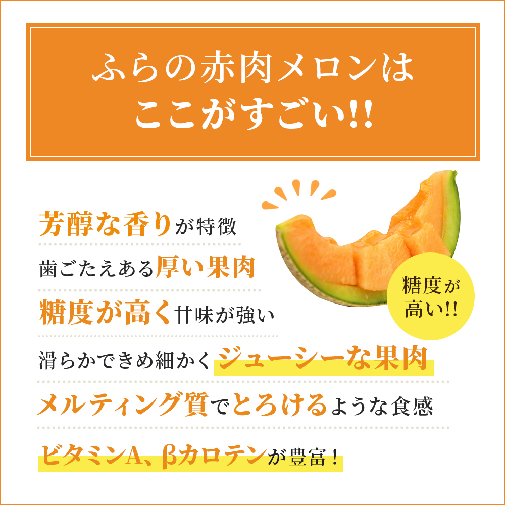 2025年発送】ふらの 赤肉メロン 厳選 甘味 Mサイズ 1.35kg～1.6