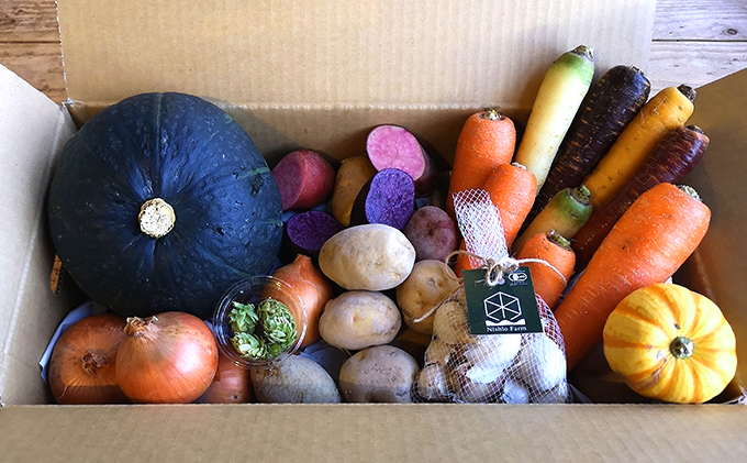 上富良野産 秋のオーガニックお野菜セット 詰合せ 根菜 | 北海道上
