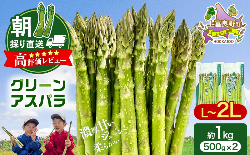令和8年産】アスパラ専門農家の特選グリーンアスパラ1kg（L～2L