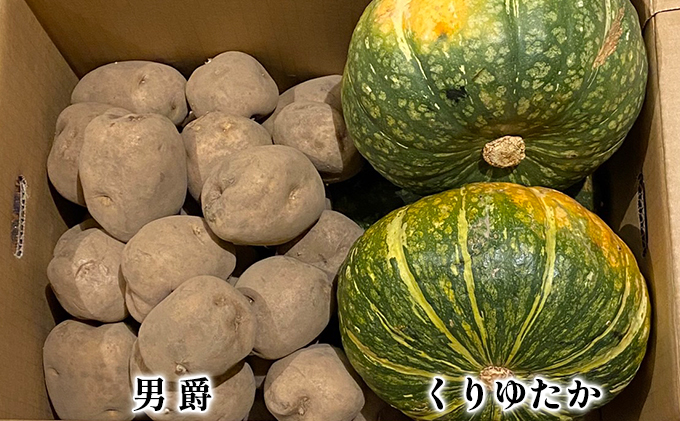 大山山麓 栽培期間中農薬化学肥料 ジャガイモ6kg 送料込 大山山麓 栽培期間中農薬化学肥料 ジャガイモ6kg 送料込 無農薬