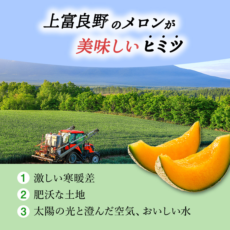 糖度限界突破】ふらの赤肉メロン Lサイズ（約1.7kg/玉）2玉 2025