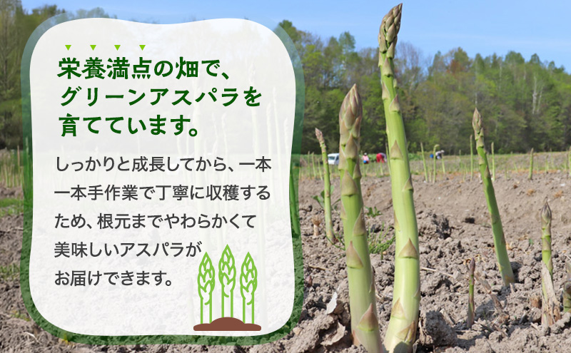 令和8年産】アスパラ専門農家の特選グリーンアスパラ1kg（L～2L