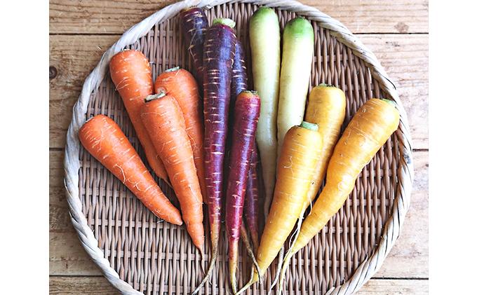 お野菜  ポケット野菜【初回限定】お試し15包セット – グリーンフロンティア