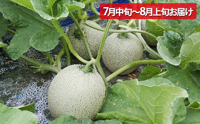 新鮮なメロン・かぼちゃ・トウモロコシセット 2025年 発送 】先行予約 北海道 上富良野 農家スクラム