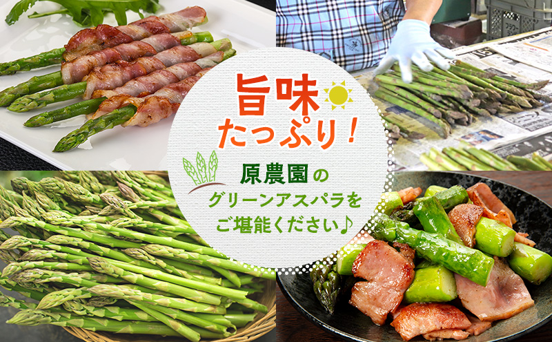 令和8年産】アスパラ専門農家の特選グリーンアスパラ2kg（L～2L