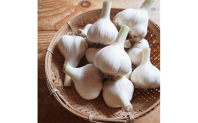 令和8年産】 上富良野産 秋の オーガニック お野菜 セット 詰合せ 約