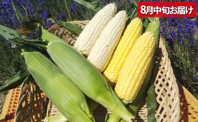 新鮮なメロン・かぼちゃ・トウモロコシセット 2025年 発送 】先行予約 北海道 上富良野 農家スクラム