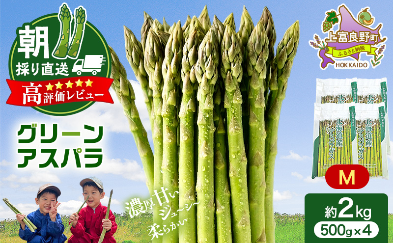 令和8年産】北海道 上富良野 町産 グリーン アスパラ 1kg 500g × 2袋