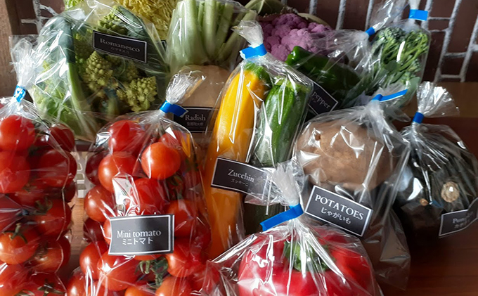 ★ミニトマト6kg、ナス4kg、玉ねぎS5kg★ やさいバス/瀬戸内トマト2