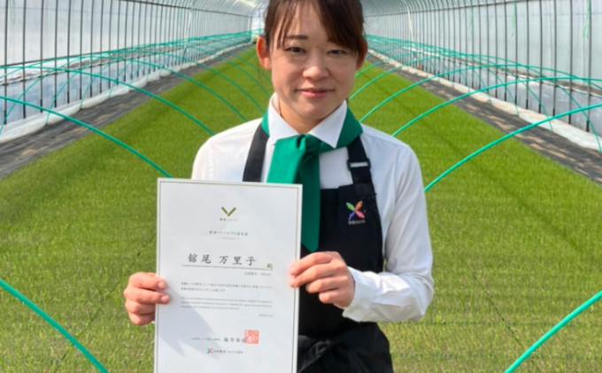 三葉☘️ミニトマト農家直送　即日発送　 pc.webp