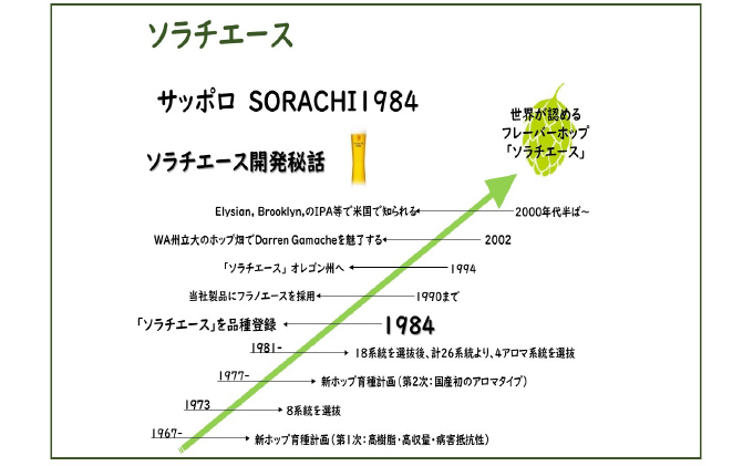 SORACHI 1984 ≪ソラチ1984≫1箱（350ml×12缶） 吉澤商店 北海道 上