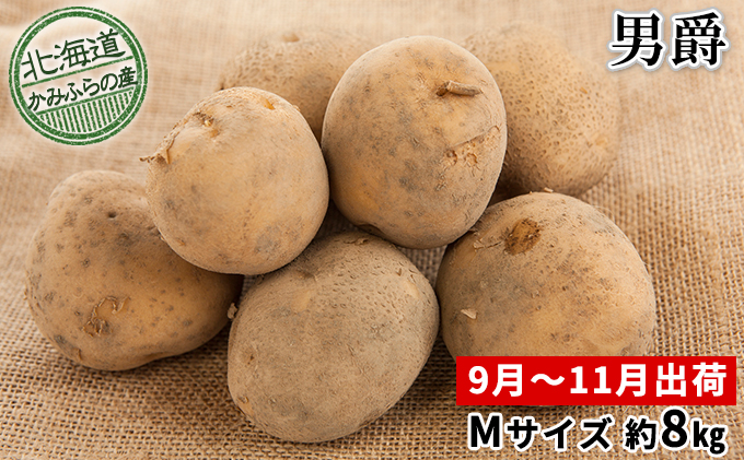 新じゃがいも【男爵】約8kg≪北海道上富良野産≫ 野菜 | 北海道上