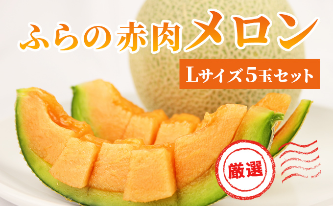 メロン 富良野の高糖度赤肉メロン 計4玉（2玉×2箱）めろん 赤肉 果物