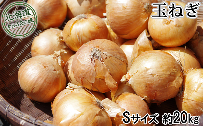 玉ねぎ約20kg（Sサイズ）≪北海道上富良野産≫ 野菜 たまねぎ