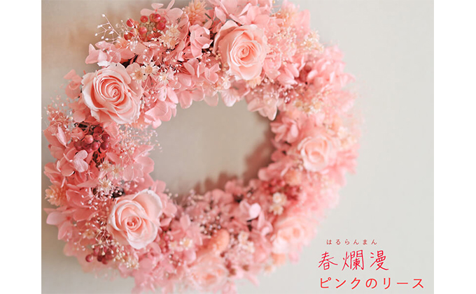 junpemi2点♡ぷくぷく鯉のぼり＆ラベンダーピンクのフラワーリース 日本最大級 junpemi2点♡ぷくぷく鯉のぼり＆ラベンダーピンクの