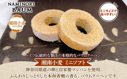 ミニサイズ バウムクーヘン なみのりバウム 10個セット 食べきり