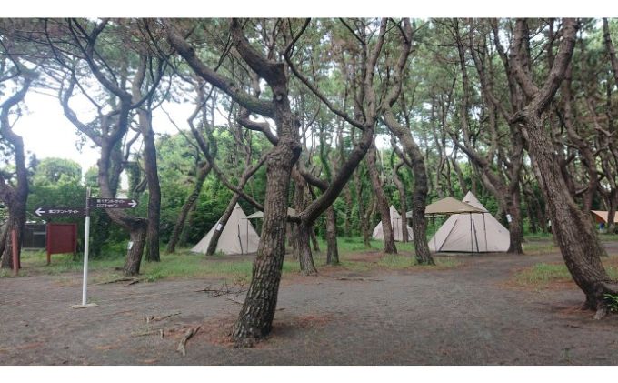 ちがさき柳島キャンプ場でBBQ！WAKUWAKU海鮮セット（引換券） 引き換えチケット バーベキュー 食事 食材 料理 海鮮BBQ 海の幸 魚介類 休日 昼食 アウトドア 