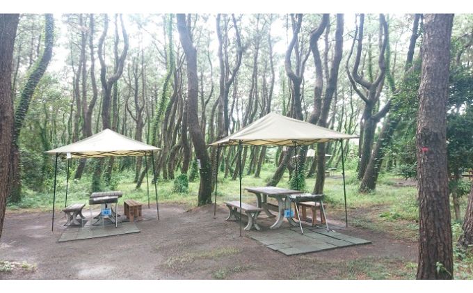 ちがさき柳島キャンプ場でBBQ！WAKUWAKU海鮮セット（引換券） 引き換えチケット バーベキュー 食事 食材 料理 海鮮BBQ 海の幸 魚介類 休日 昼食 アウトドア 