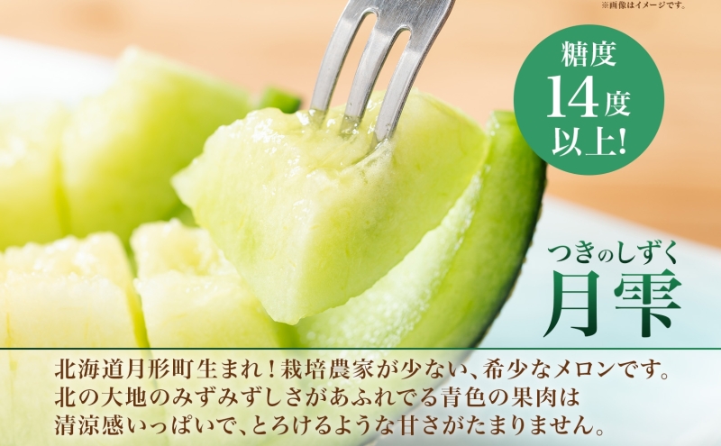 北海道月形町のふるさと納税 【2026年夏発送】北海道 青肉メロン 月雫 秀品 1玉 約1.6kg 令和7年 メロン 果物 フルーツ 旬 季節 希少 甘い 豊潤 国産 北海道産 デザート ご褒美 産地直送 産直 ギフト お祝い 贈答品 贈り物 お中元 常温 お取り寄せ 送料無料