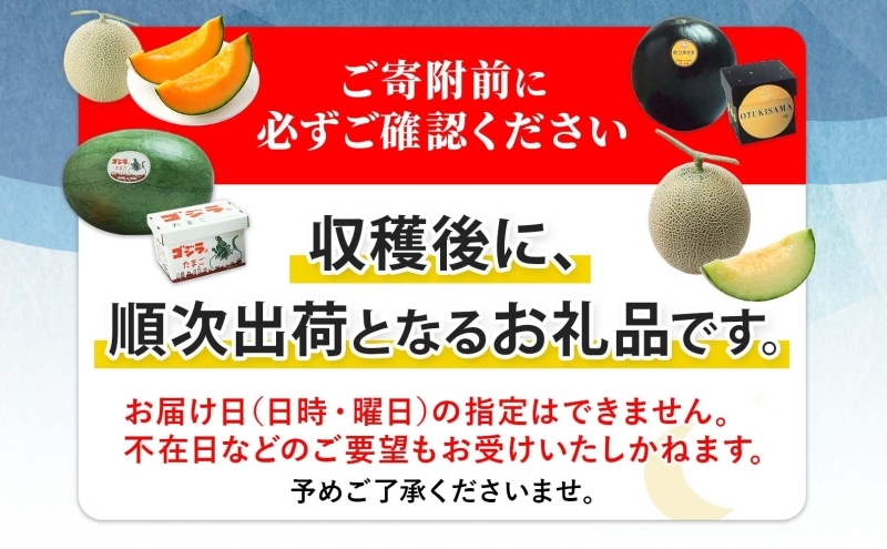 北海道月形町のふるさと納税 【2026年夏発送】北海道 青肉メロン 月雫 秀品 1玉 約1.6kg 令和8年 メロン 果物 フルーツ 旬 季節 希少 甘い 豊潤 国産 北海道産 デザート ご褒美 産地直送 産直 ギフト お祝い 贈答品 贈り物 お中元 常温 お取り寄せ 送料無料