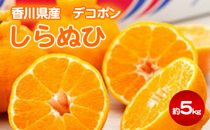 【香川県東かがわ市】しらぬひ 約5kg デコポン 果物類 みかん 柑橘類 フルーツ