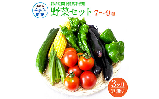 t139slv　野菜セット（7‐9種類） 《3カ月定期便》 栽培期間中農薬不使用！ 季節の野菜 定期コース 定期 無農薬 野菜 やさい 新鮮 自然 健康 セット 詰め合わせ 冷蔵 美味しい おいしい 食べ物 食材 秋 旬の味覚 ご当地 お取り寄せ 芸西村 18000円 故郷納税 返礼品