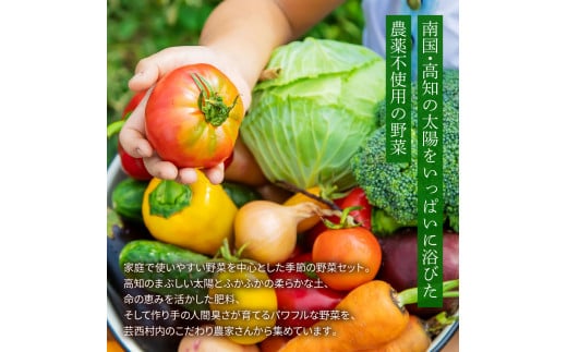 t139slv　野菜セット（7‐9種類） 《3カ月定期便》 栽培期間中農薬不使用！ 季節の野菜 定期コース 定期 無農薬 野菜 やさい 新鮮 自然 健康 セット 詰め合わせ 冷蔵 美味しい おいしい 食べ物 食材 秋 旬の味覚 ご当地 お取り寄せ 芸西村 18000円 故郷納税 返礼品