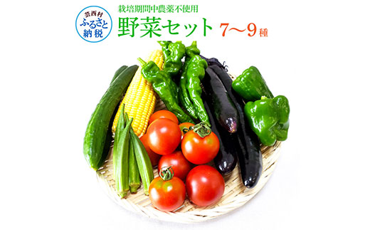 高知県芸西村のふるさと納税 SLV001　野菜セット（7‐9種類）栽培期間中農薬不使用！ 季節の野菜 旬 無農薬 野菜 やさい 新鮮 自然 健康 セット 詰め合わせ 冷蔵 美味しい おいしい 食べ物 食材 秋 旬の味覚 ご当地 お取り寄せ 芸西村 6000円 故郷納税 ふるさとのうぜい 返礼品 高知県産 高知
