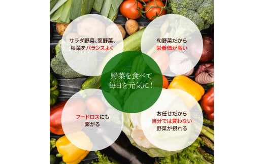 高知県芸西村のふるさと納税 SLV001　野菜セット（7‐9種類）栽培期間中農薬不使用！ 季節の野菜 旬 無農薬 野菜 やさい 新鮮 自然 健康 セット 詰め合わせ 冷蔵 美味しい おいしい 食べ物 食材 秋 旬の味覚 ご当地 お取り寄せ 芸西村 6000円 故郷納税 ふるさとのうぜい 返礼品 高知県産 高知