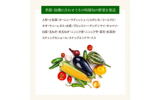 高知県芸西村のふるさと納税 SLV001　野菜セット（7‐9種類）栽培期間中農薬不使用！ 季節の野菜 旬 無農薬 野菜 やさい 新鮮 自然 健康 セット 詰め合わせ 冷蔵 美味しい おいしい 食べ物 食材 秋 旬の味覚 ご当地 お取り寄せ 芸西村 6000円 故郷納税 ふるさとのうぜい 返礼品 高知県産 高知