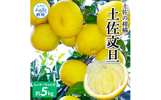 ym|zTKA040@s\ ẙk yU 5kg lߍ킹 iނ@jt U 5L Ԃ񂽂 k m m ԗi ̋[ 16000~ ʕ  t[c    Mtg v[g i 蕨 Ε Ε l ̂ 