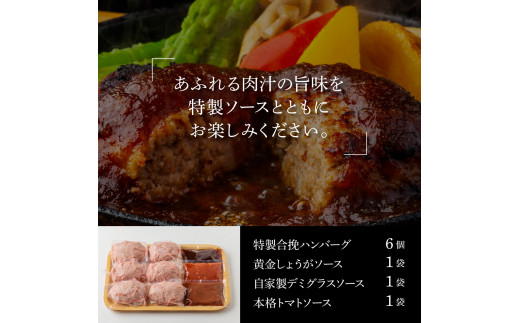 CDM012　1/1～寄附額変更  食べ比べ！老舗レストランの国産牛・美鮮豚ハンバーグ130g×6ケ＋ソース3種各1袋 ハンバーグ セット 12000円 トマトソース デミグラス 牛肉 豚肉 和牛 美味しい おいしい 小分けパック 個包装 冷凍 故郷納税 