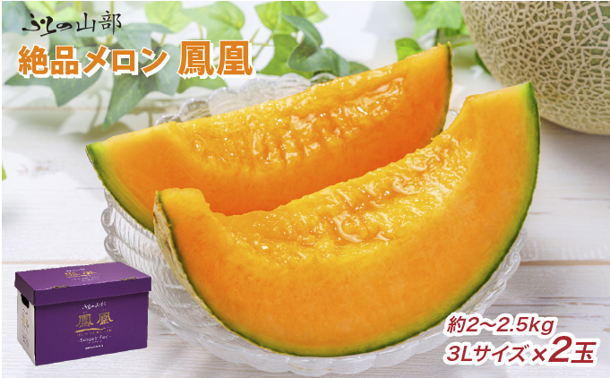 ykCxǖszy2026N6菇zӂ̎R̐iwPx3Li2`2.5kgj×2ʁi_Yj t[c ʕ VN Â 蕨 Mtg Y W[V[  ӂ uh 