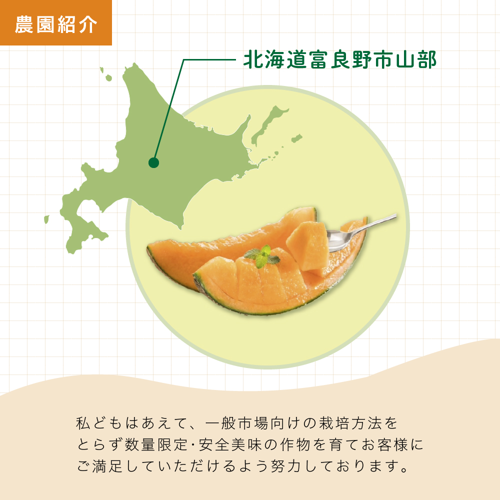 【2026年6月より順次発送】ふらの山部の絶品メロン『鳳凰』 2L（1.8～2kg）×2玉（坂口農産）メロン フルーツ 果物 新鮮 甘い 贈り物 ギフト 道産 ジューシー おやつ ふらの ブランド 夏 