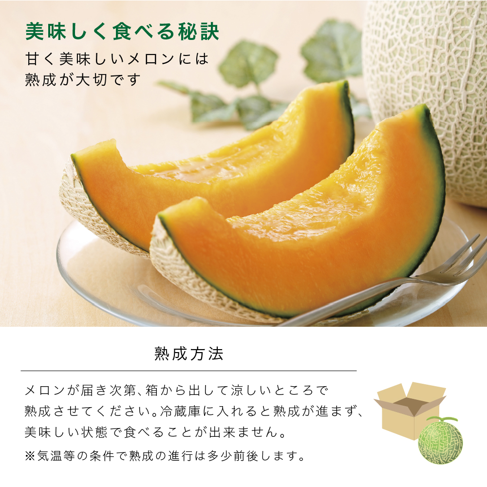 【2026年6月より順次発送】ふらの山部の絶品メロン『鳳凰』 2L（1.8～2kg）×3玉（坂口農産）メロン フルーツ 果物 新鮮 甘い 贈り物 ギフト 道産 ジューシー おやつ ふらの ブランド 夏 