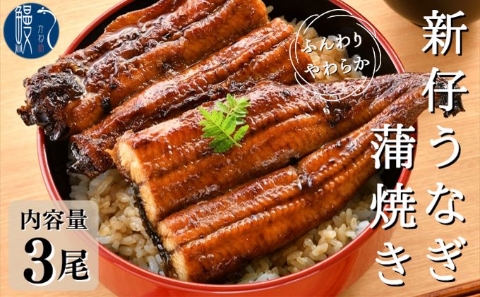 【愛知県蟹江町】新仔うなぎ 蒲焼き 3尾 150g以上 かね梅 鰻 ウナギ 蒲焼 たれ タレ 丑の日 国産 三河一色産 炭火焼き 手焼き 簡単調理 小分け 真空パック うな重 うな丼 ひつまぶし グルメ 人気 ギフト 贈り物 贈答 株式会社かね梅 送料無料 愛知県【 蟹江町 】