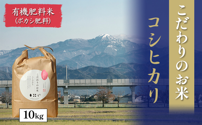 九谷焼 組湯呑 青粒鉄仙 a03 （石川県能美市） | ふるさと納税