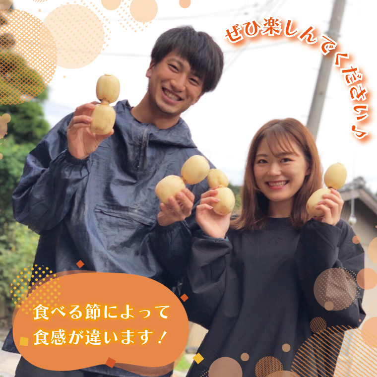 茨城県行方市のふるさと納税 【2025年8月以降より順次発送】レンコン　約4kg｜茨城県 行方市 ふるさと納税 蓮根 レンコン(EG-1)
