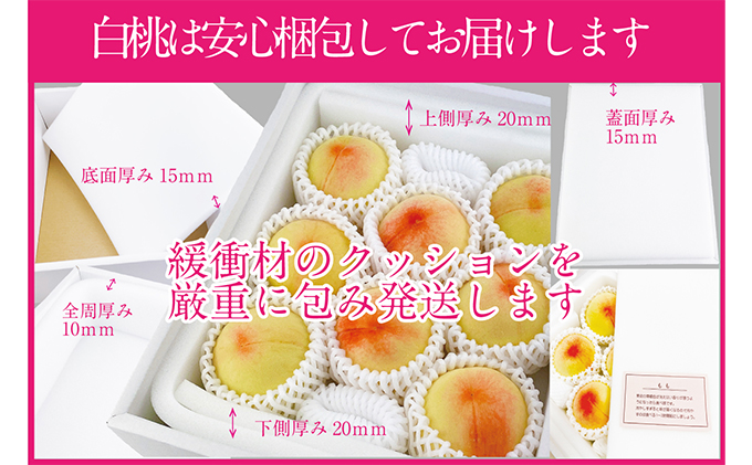 桃 2026年 先行予約 岡山の白桃 300g以上×6玉 白桃 旬 みずみずしい 晴れの国 おかやま 岡山県産 フルーツ王国 果物王国 果実 デザート 食後 産地直送 甘い 果汁 岡山の桃 