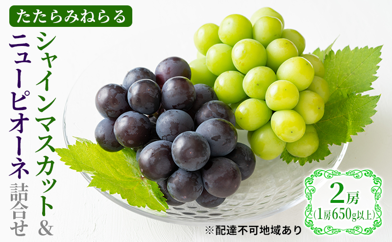 yRzy2026Ns\z Ԃǂ RY ݂˂ VC}XJbg & j[sI[l l 2[(1[650gȏ) s2026N9{-{oׁt  uhE t[c ʕ  ʌ Ԍ R 