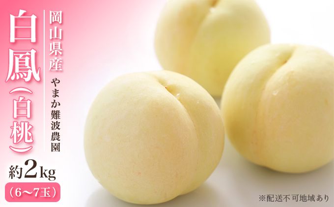 桃 【 2026年 先行予約】 岡山県産 白鳳 （ 白桃 ） 約2kg（6～7玉） 《2026年7月上旬～中旬頃出荷》 白桃 岡山 はくとう フルーツ 果物 先行予約 数量限定 期間限定 里庄町 モモ もも 