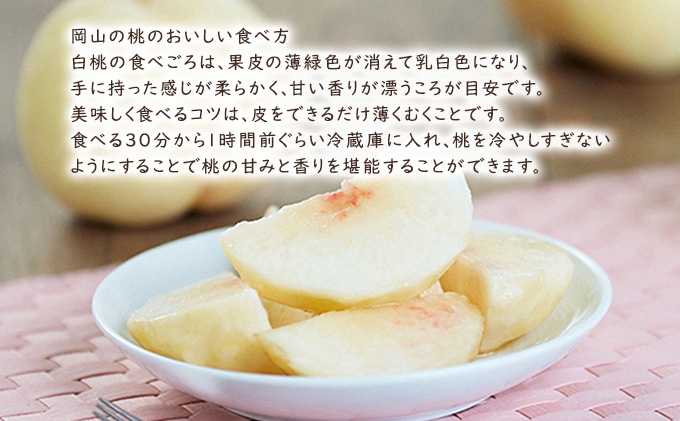 桃 【 2026年 先行予約 】 岡山県産 清水 白桃 （ 白桃 ） 約2kg（6～7玉） 《2026年7月中旬～8月上旬頃出荷》 白桃 岡山 フルーツ 果物 先行予約 数量限定 期間限定 里庄町 モモ もも 