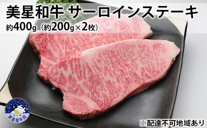 yRza T[CXe[L 400gi200g×2j  R  