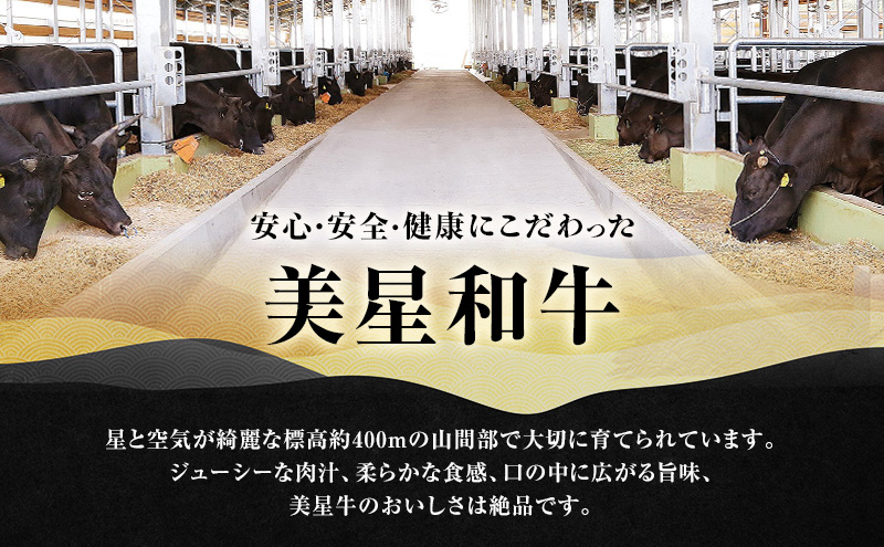 美星和牛 ステーキ食べ比べセット 約1.0kg  牛肉 岡山県 里庄町 送料無料