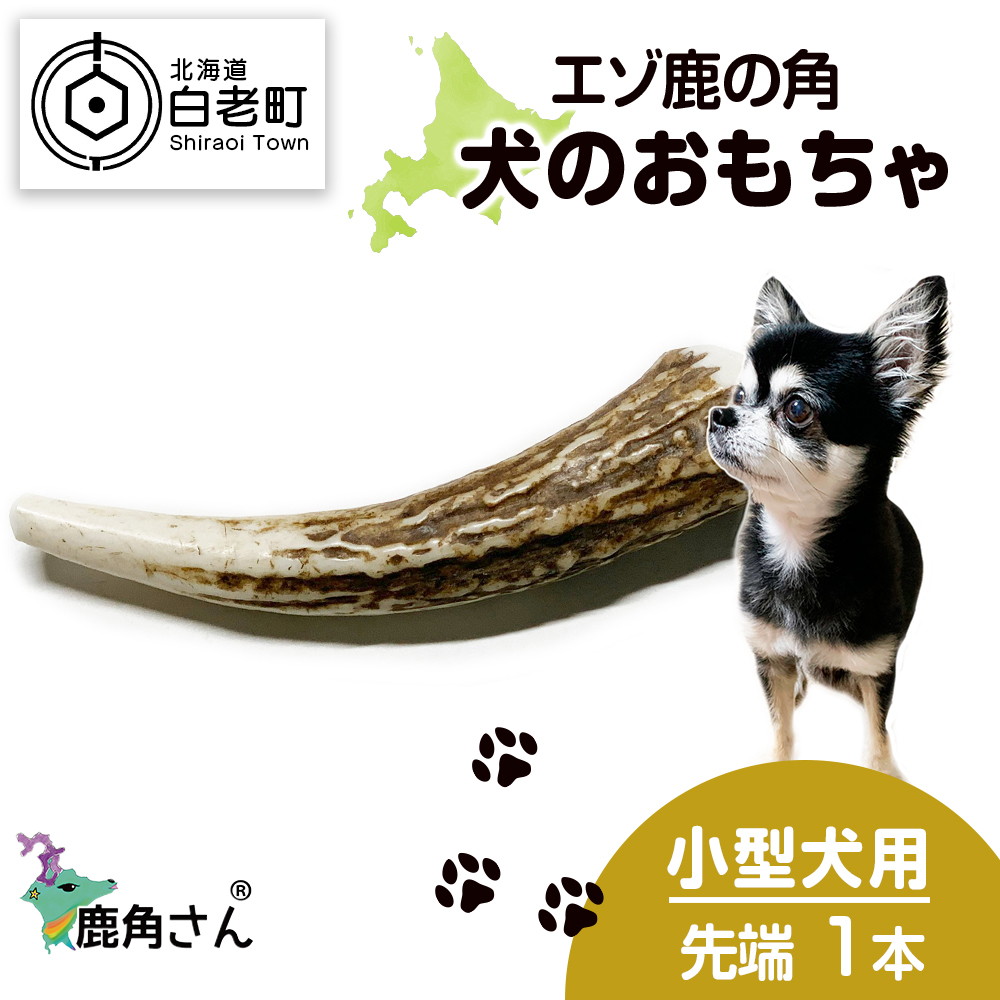 鹿の角 鹿の角 - メルカリ