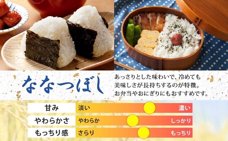 【令和8年産先行予約】北海道 定期便 隔月6回 令和8年産 ななつぼし 5kg×2袋 特A 精米 米 白米 ご飯 お米 ごはん 国産 北海道産 ブランド米 おにぎり ふっくら 常温 お取り寄せ 産地直送 R8年産 送料無料