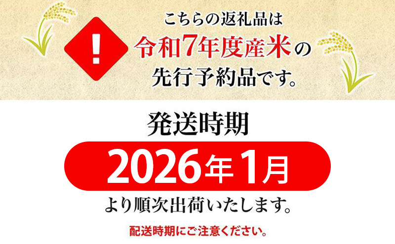 北海道月形町のふるさと納税 【令和7年産先行予約】北海道 令和7年産 ななつぼし 5kg×1袋 特A 精米 米 白米 ご飯 お米 ごはん 国産 ブランド米 おにぎり ふっくら 常温 お取り寄せ 産地直送 農家直送 送料無料 月形