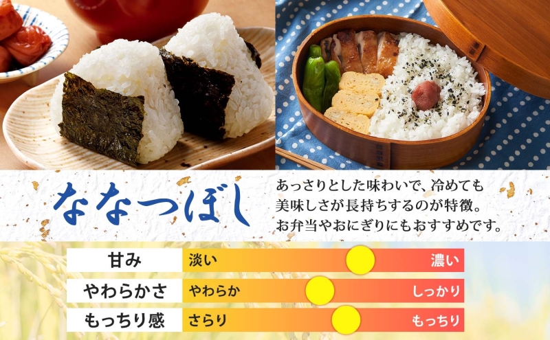 【令和8年産先行予約】北海道 令和8年産 ななつぼし 無洗米 5kg×1袋 特A 米 白米 ご飯 お米 ごはん 国産 ブランド米 時短 便利 常温 お取り寄せ 産地直送 農家直送 送料無料 月形 