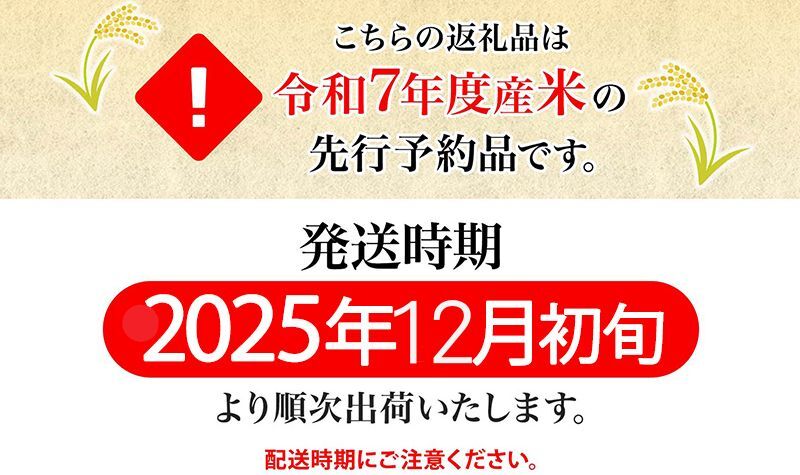 北海道月形町のふるさと納税 【令和7年産先行予約】北海道 令和7年産 ななつぼし 無洗米 5kg×4袋 計20kg 特A 米 白米 ご飯 お米 ごはん 国産 ブランド米 時短 便利 常温 お取り寄せ 産地直送 農家直送 送料無料 月形